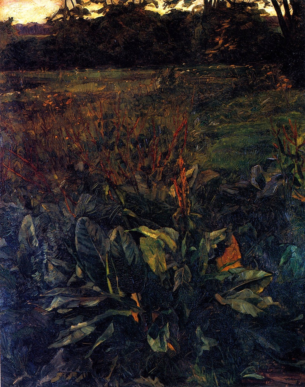 Plant Study in Park Hemsbach, vintage artwork by Wilhelm Trübner, 12x8" (A4) Poster