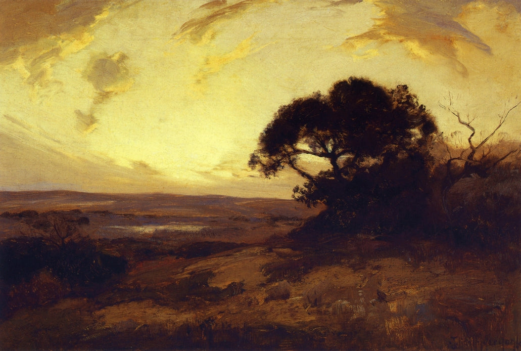 Golden Evening, Southwest Texas by Julian Onderdonk,16x12(A3) Poster