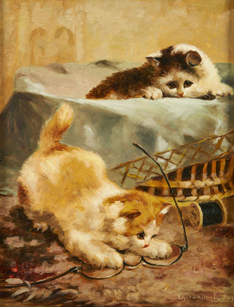 chatons aux lunettes by Charles van den Eycken,A3(16x12")Poster