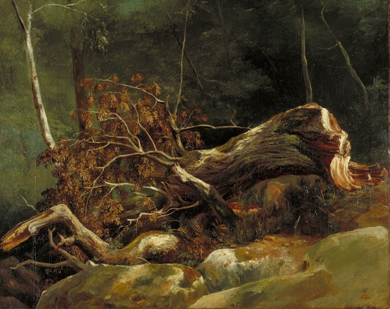Fallen Branch, vintage artwork by Achille-Etna Michallon, A3 (16x12") Poster Print