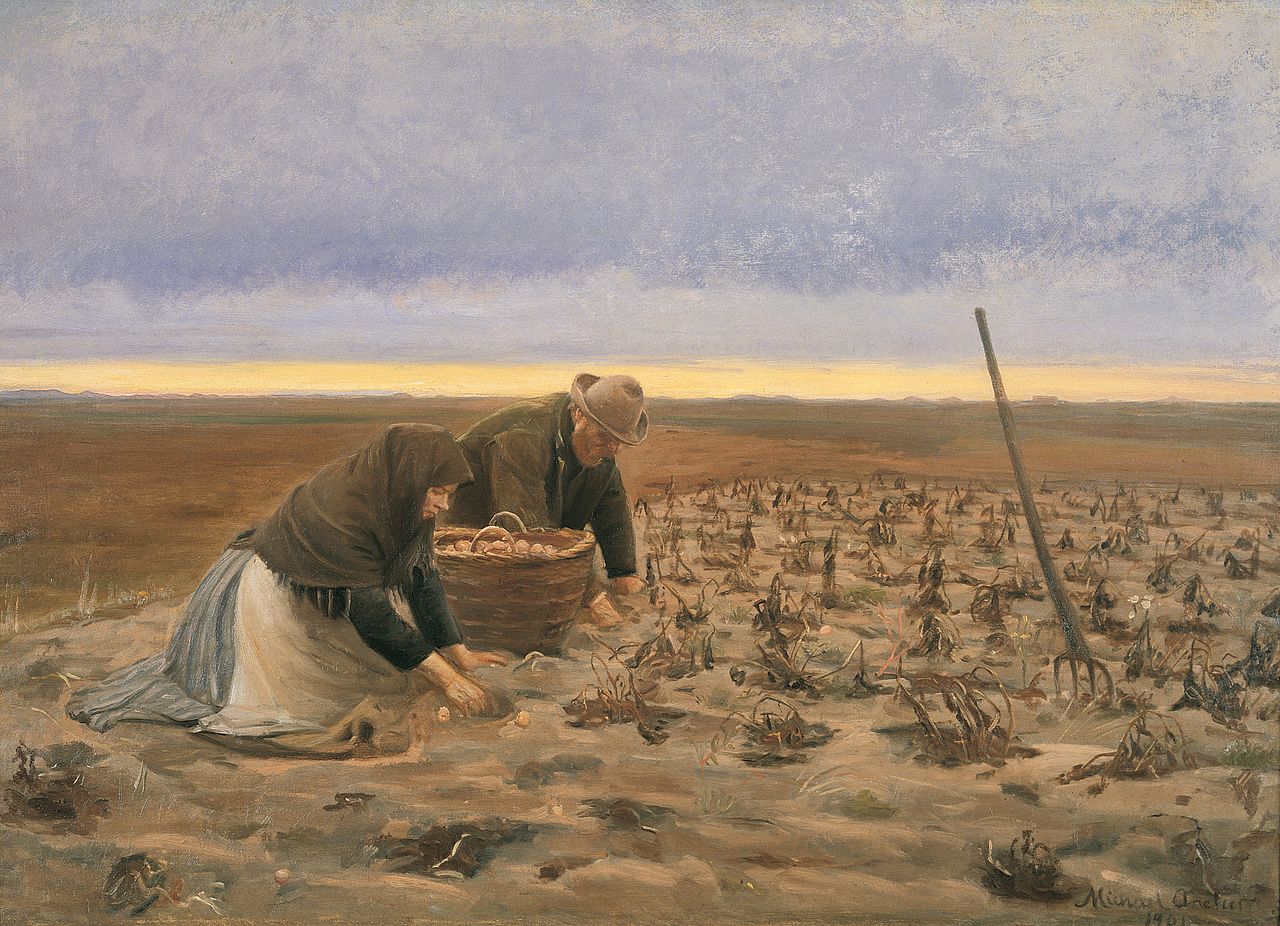 Potato Harvest, vintage artwork by Michael Peter Ancher, 12x8" (A4) Poster