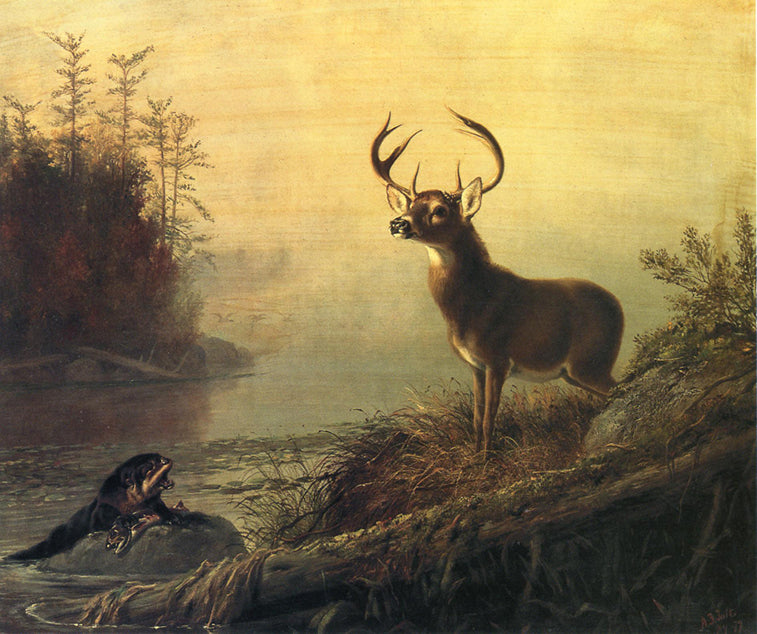 The Surprise, vintage artwork by Arthur Fitzwilliam Tait, A3 (16x12") Poster Print