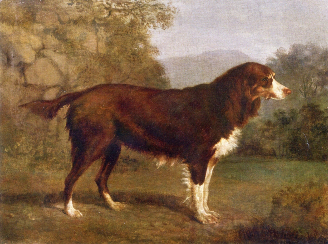 Portrait of a Dog in a Landscape, vintage artwork by Jacques-Laurent Agasse, 12x8" (A4) Poster