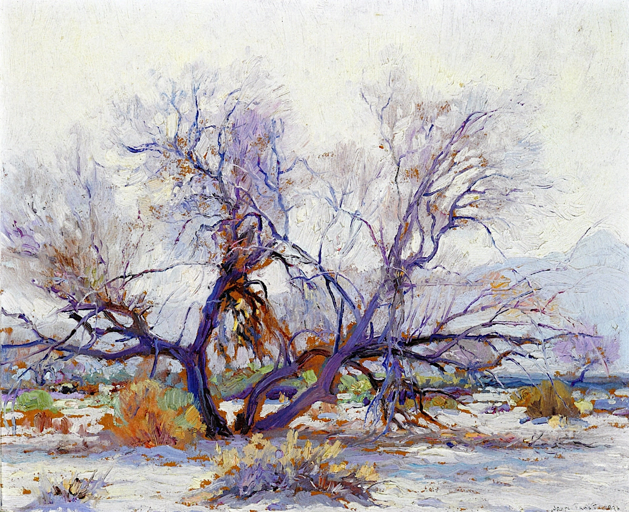 Arroyo Trees by John Frost,16x12(A3) Poster