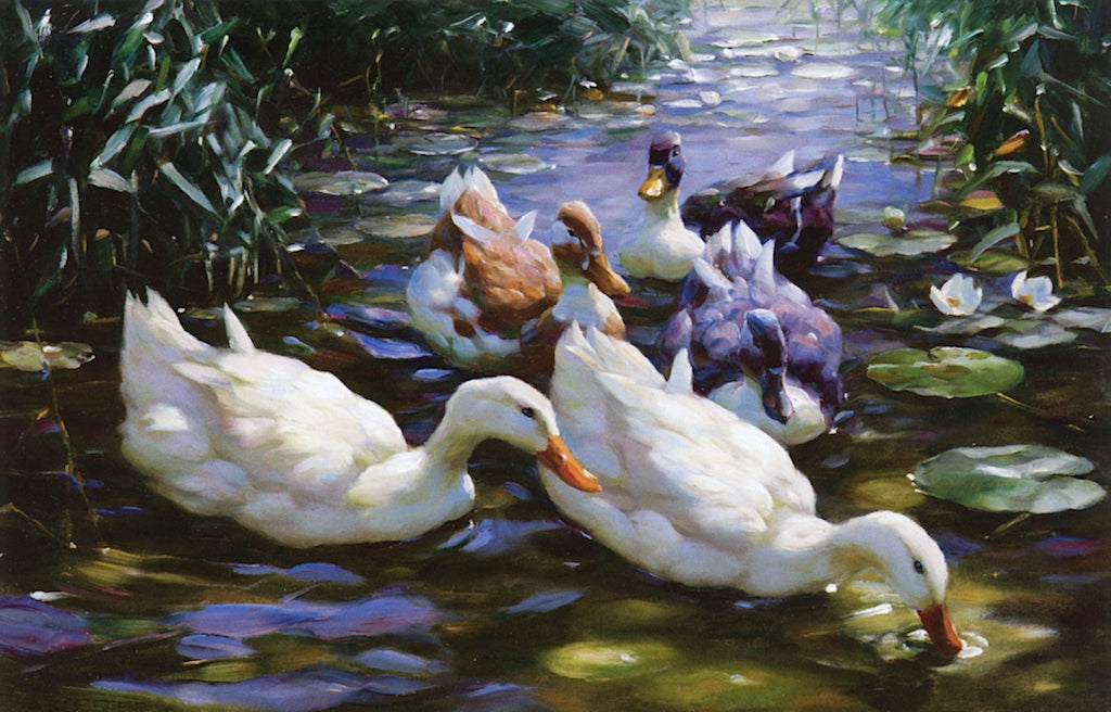 Five Ducks, vintage artwork by Alexander Koester, 12x8" (A4) Poster