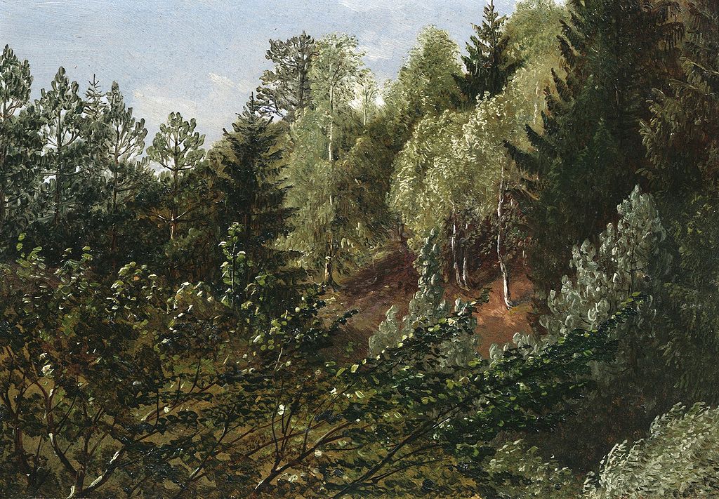 Woodland near Dresden, vintage artwork by Carl Gustav Carus, A3 (16x12") Poster Print