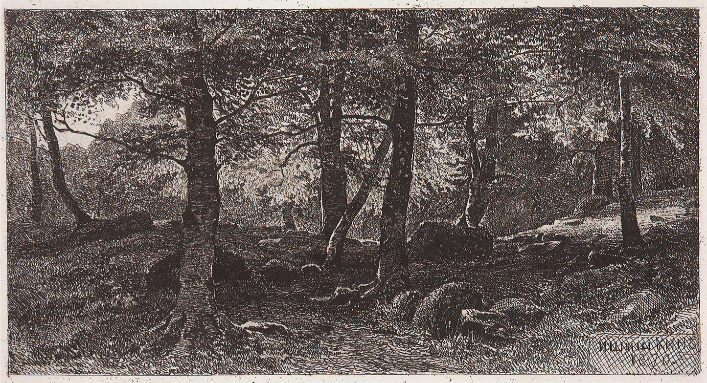 Beech Grove, vintage artwork by Ivan Ivanovich Shishkin, 12x8" (A4) Poster