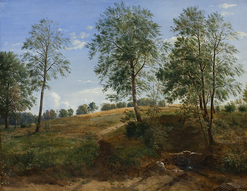 The Caroline Spring at Næsby on Funen, vintage artwork by Dankvart Dreyer, A3 (16x12") Poster Print