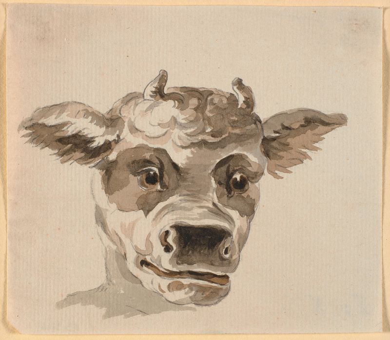 Minotauros' hoved, vintage artwork by Nicolai Abraham Abildgaard, 12x8" (A4) Poster