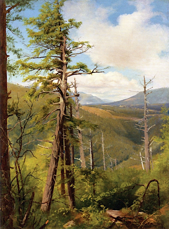 Hemlock, Kaaterskill Clove, vintage artwork by Jervis McEntee, 12x8" (A4) Poster