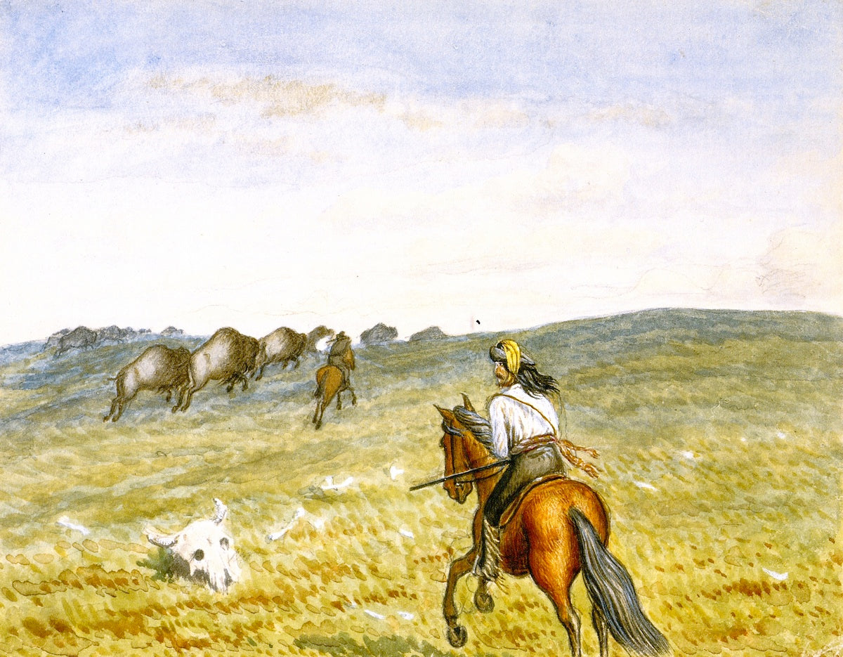 Buffalo on the Prarie, vintage artwork by William George Richardson Hind, 12x8" (A4) Poster