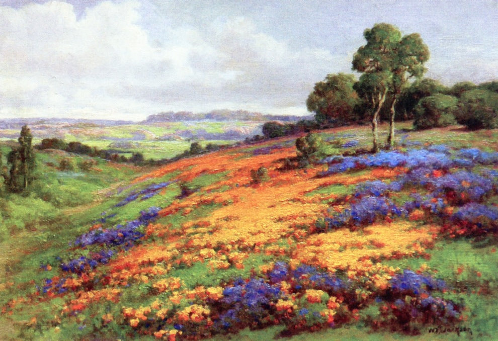 Poppy Field near Marysville, CA, vintage artwork by William Franklin Jackson, 12x8" (A4) Poster