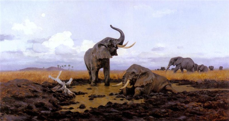 In The Twilight, Elephants by Wilhelm Kuhnert,A3(16x12")Poster