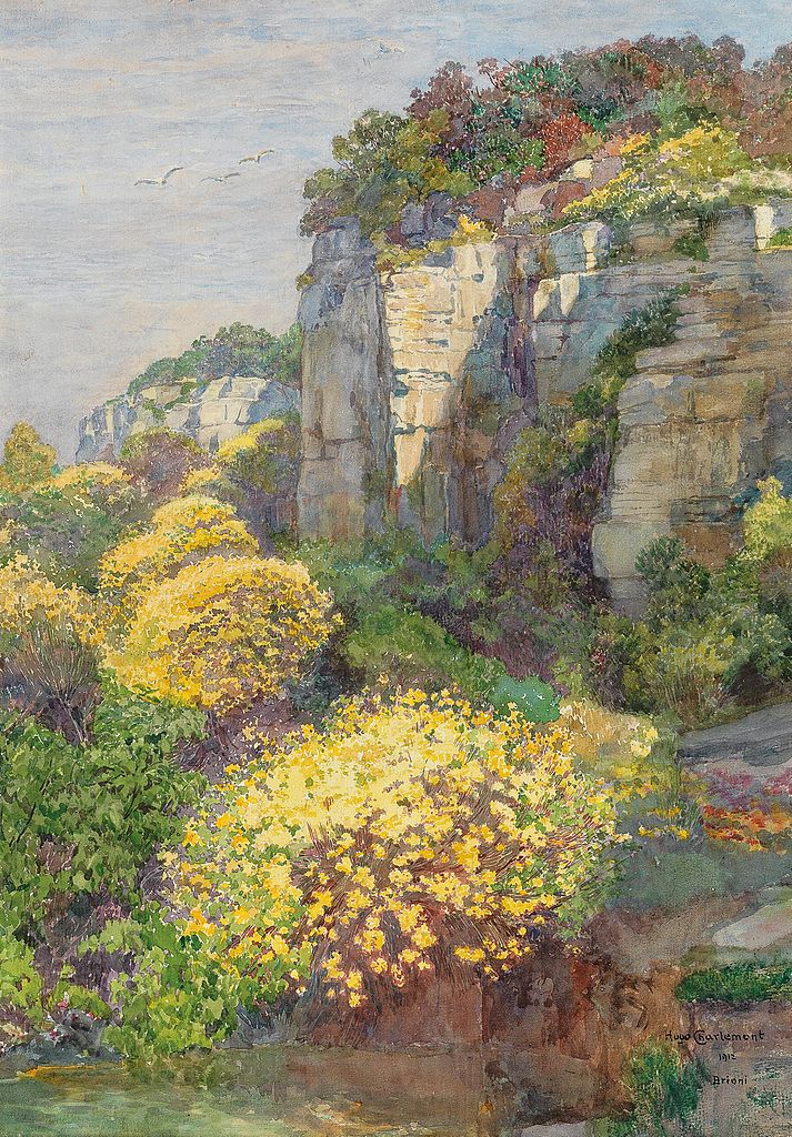 Broom in Bloom on Brioni, vintage artwork by Hugo Charlemont, 12x8" (A4) Poster