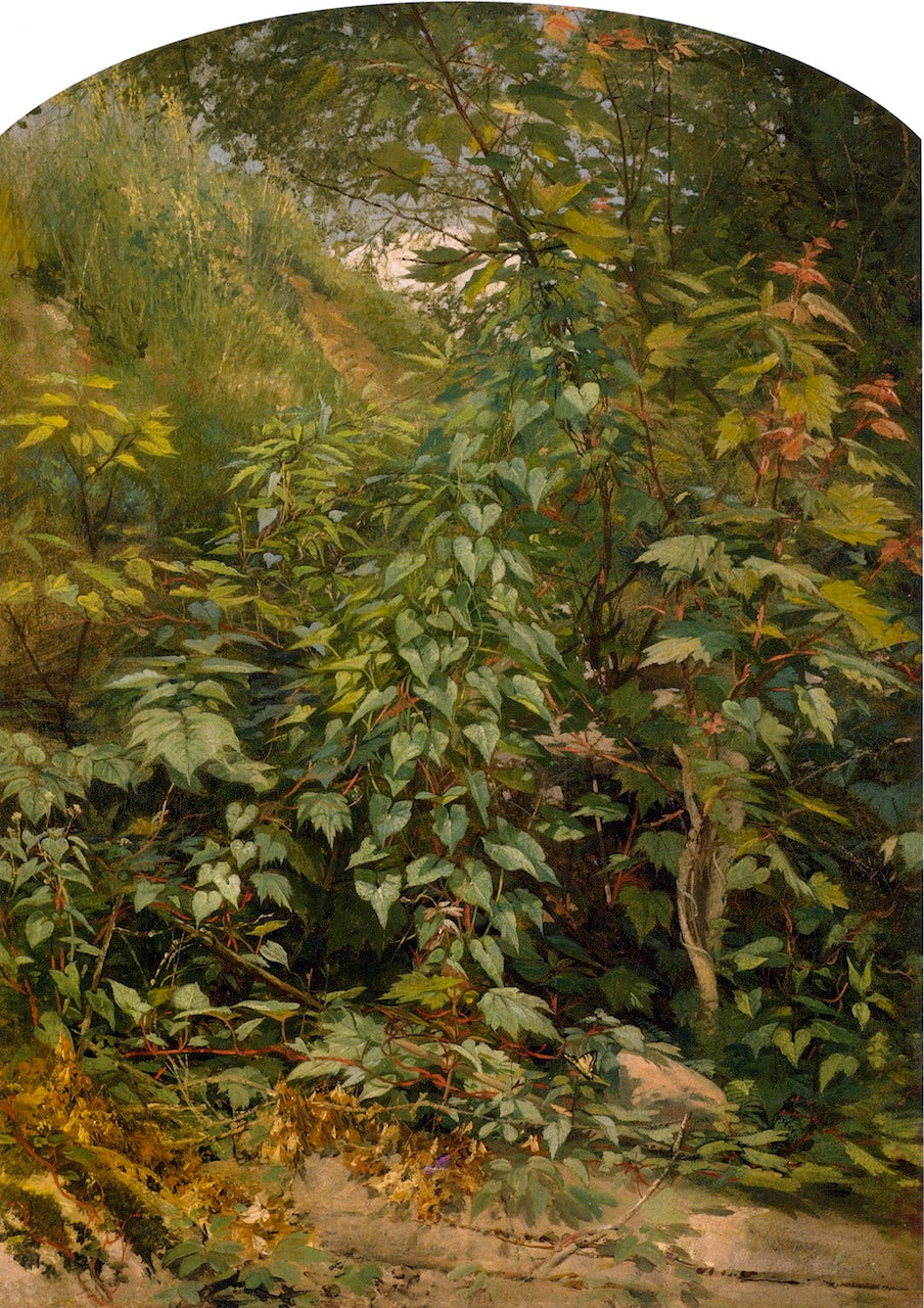 Leaf Study with Yellow Swallow Tail, vintage artwork by Aaron Draper Shattuck, 12x8" (A4) Poster