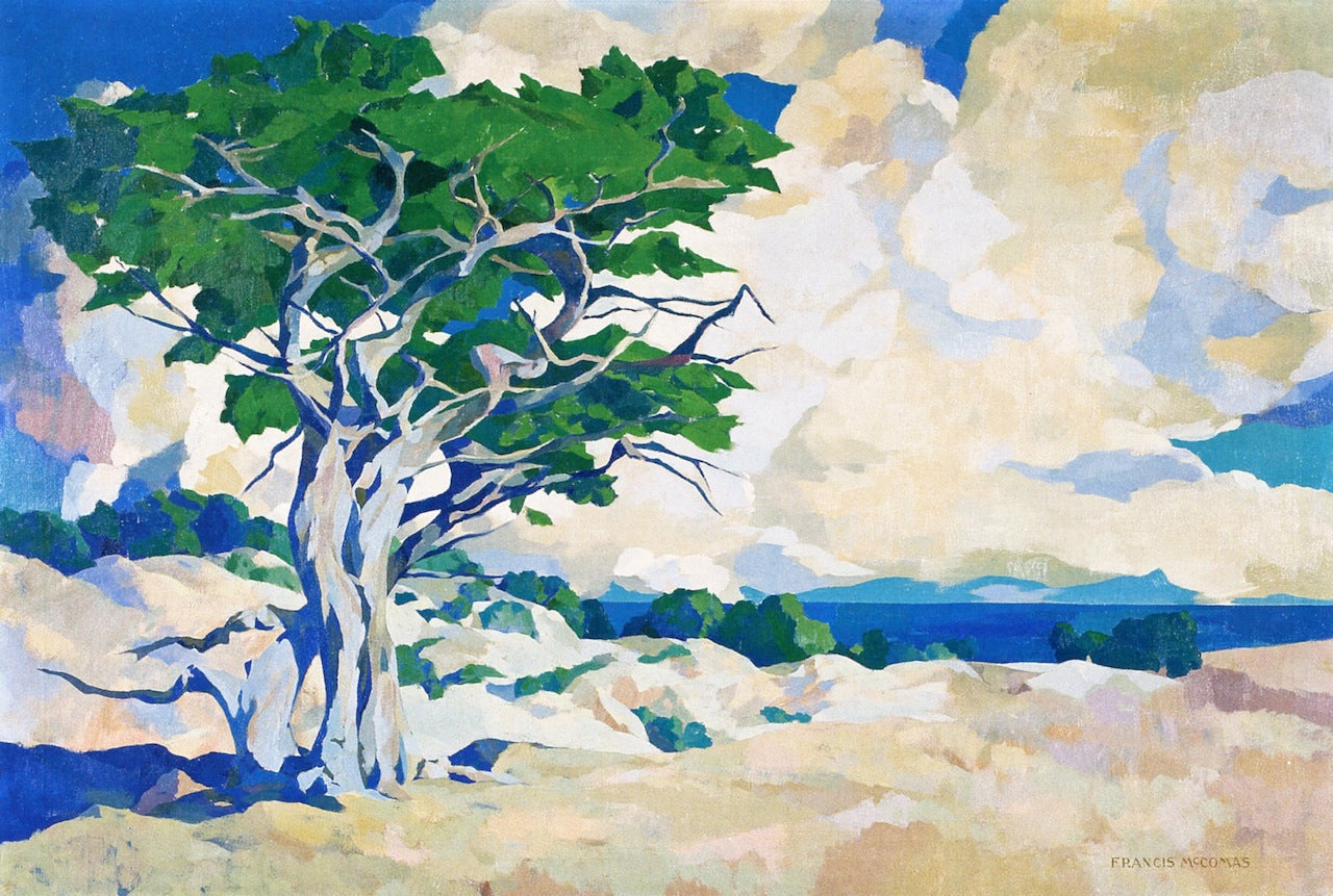 Monterey Cypress, vintage artwork by Francis John McComas, 12x8" (A4) Poster