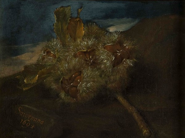 Ricci con castagne di Saturnana, vintage artwork by Bartolomeo Bimbi, 12x8" (A4) Poster