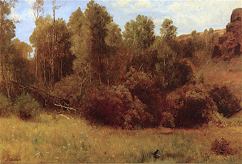 Aspen Grove near Donner Lake, vintage artwork by Albert Bierstadt, 12x8" (A4) Poster