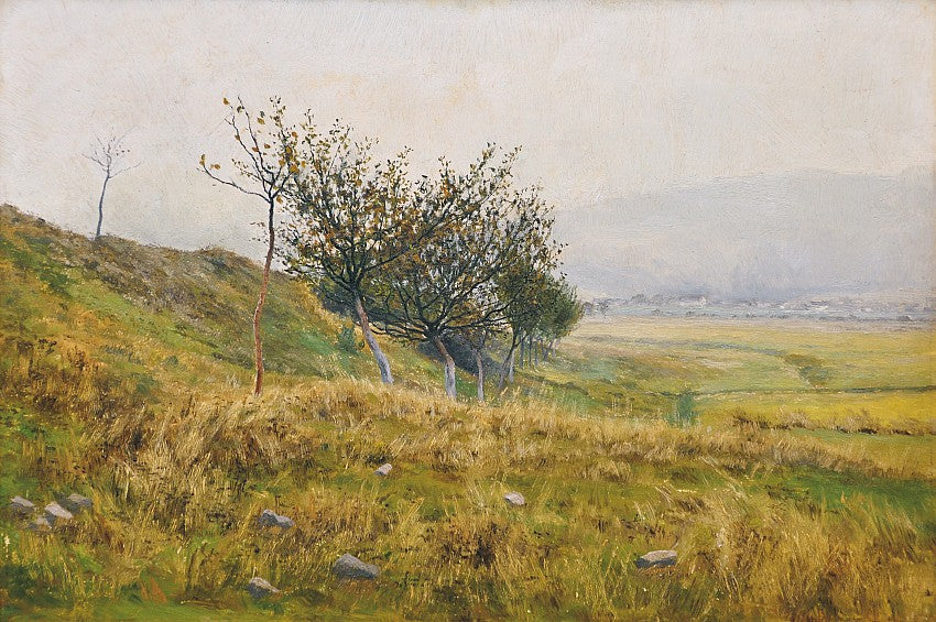 A Shrub, vintage artwork by František Kaván, 12x8" (A4) Poster