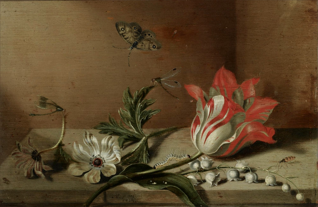 Still life with a tulip, anemones, lily-of-the-valley, caterpillar, butterfly and other insects, vintage artwork by Jacob Marrel, 12x8" (A4) Poster