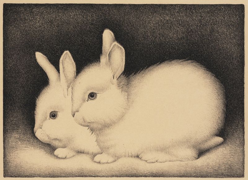Two Rabbits by Jan Mankes,16x12(A3) Poster