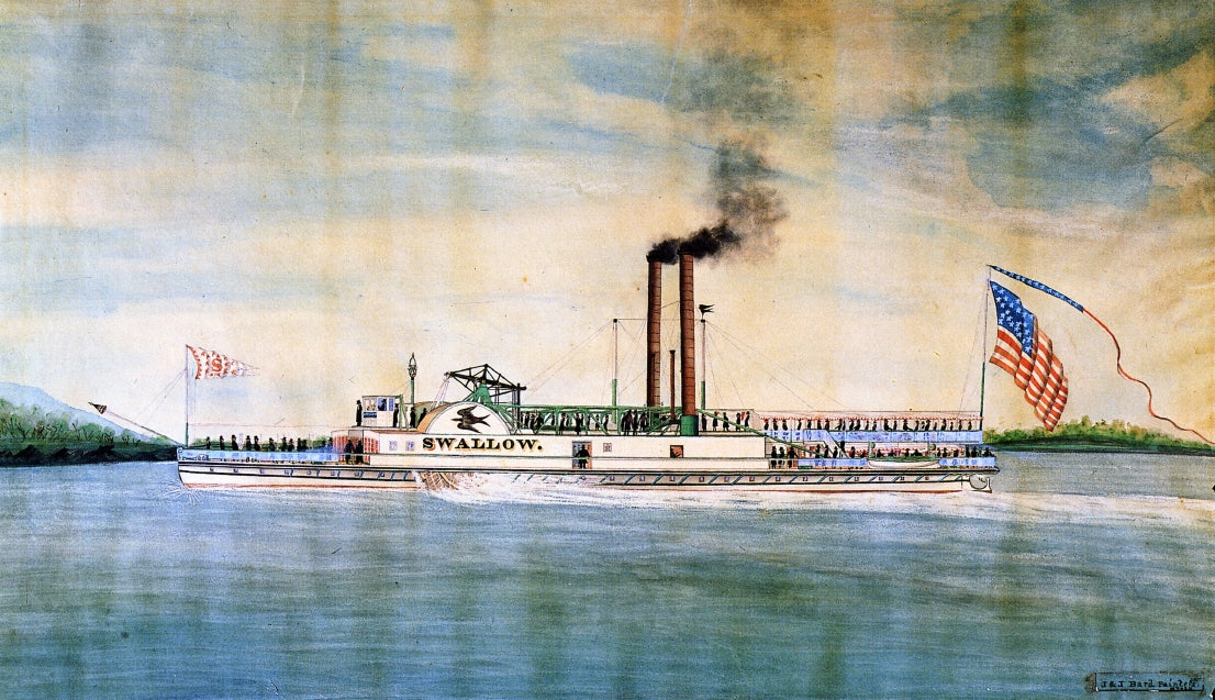 Swallow, vintage artwork by James Bard, A3 (16x12") Poster Print