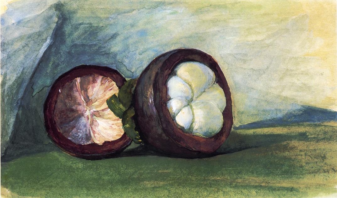 Fruit of the Mangosteen, Java, vintage artwork by John La Farge, 12x8" (A4) Poster