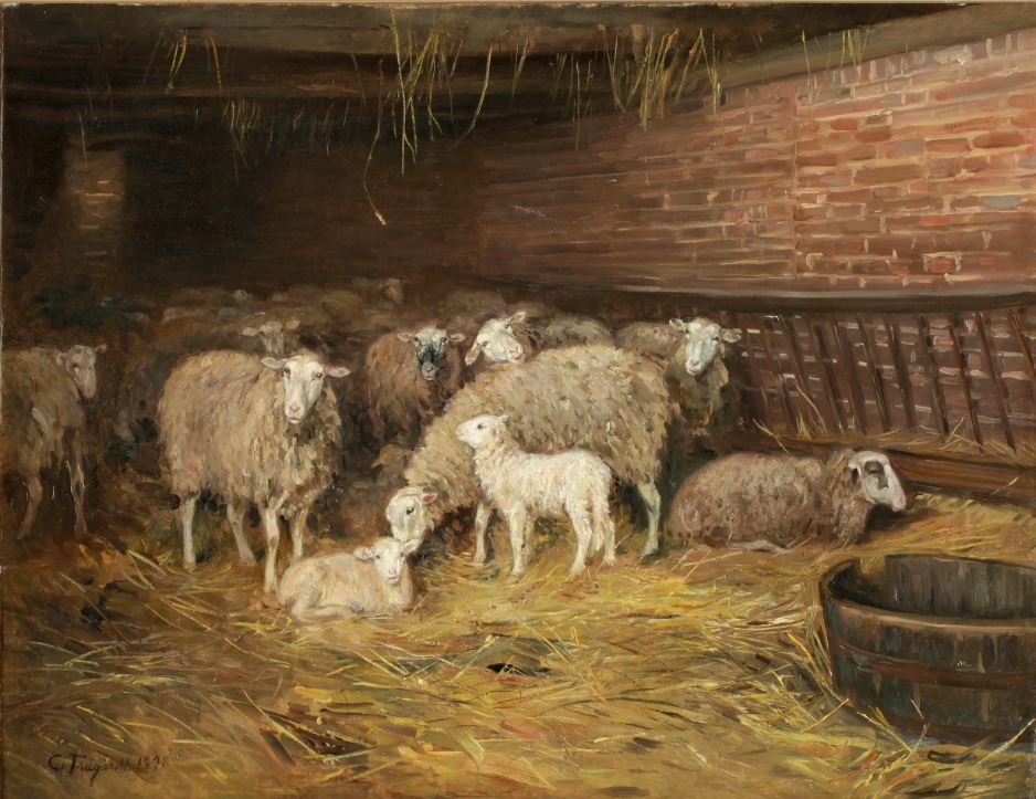 Sheep in a Stall by Carl Tragardh,A3(16x12")Poster
