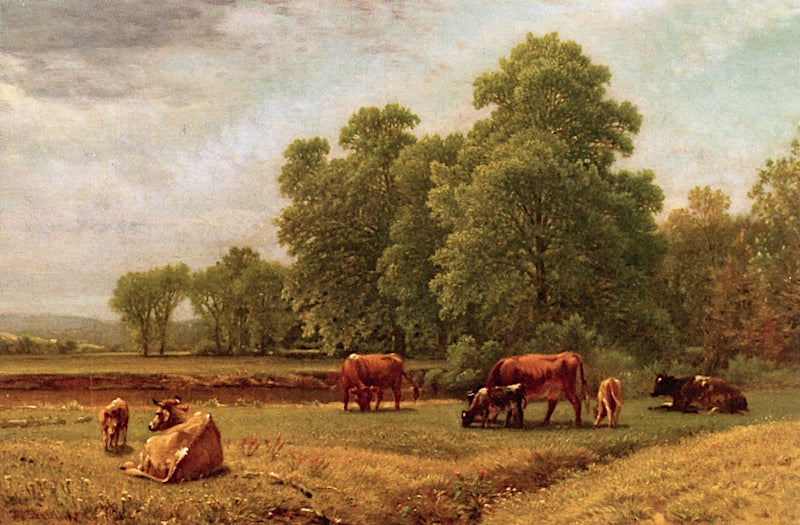 Summer Landscape with Cattle, vintage artwork by Aaron Draper Shattuck, 12x8" (A4) Poster