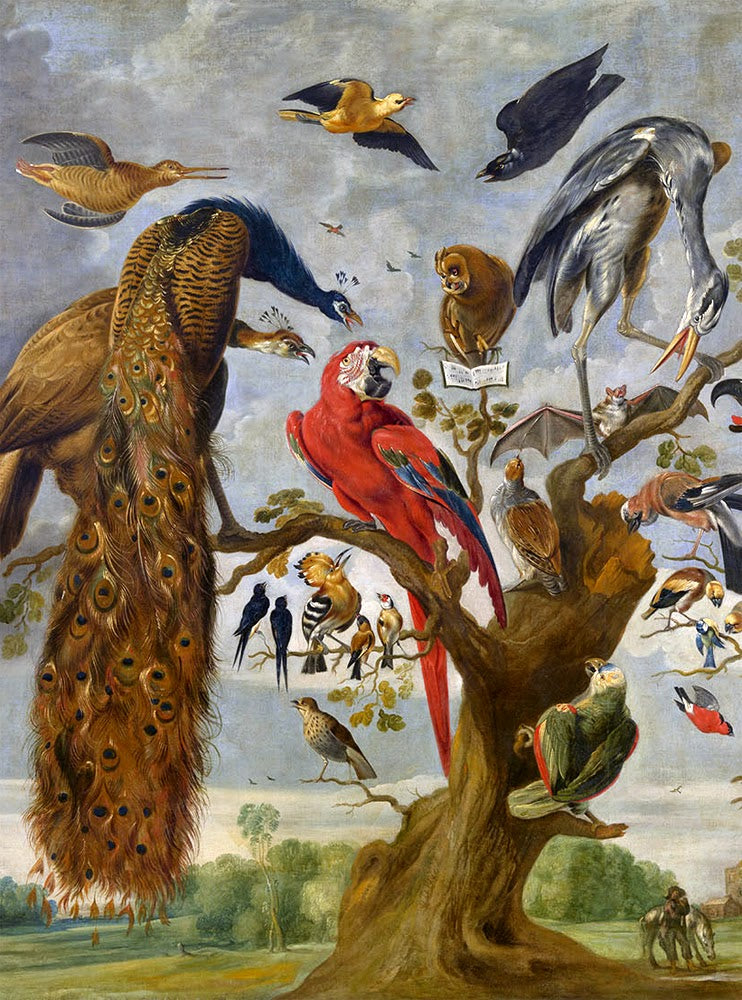 The Mockery of the Owl, vintage artwork by Jan van Kessel the Elder, 12x8" (A4) Poster