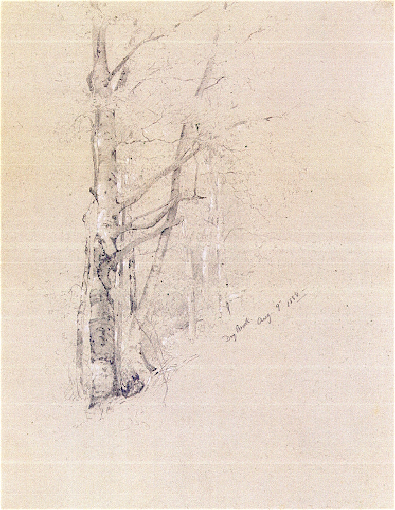 Dry Brook, vintage artwork by Jervis McEntee, 12x8" (A4) Poster