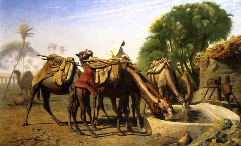 Camels at a Watering Trough, vintage artwork by Jean-Leon Gerôme, 12x8" (A4) Poster