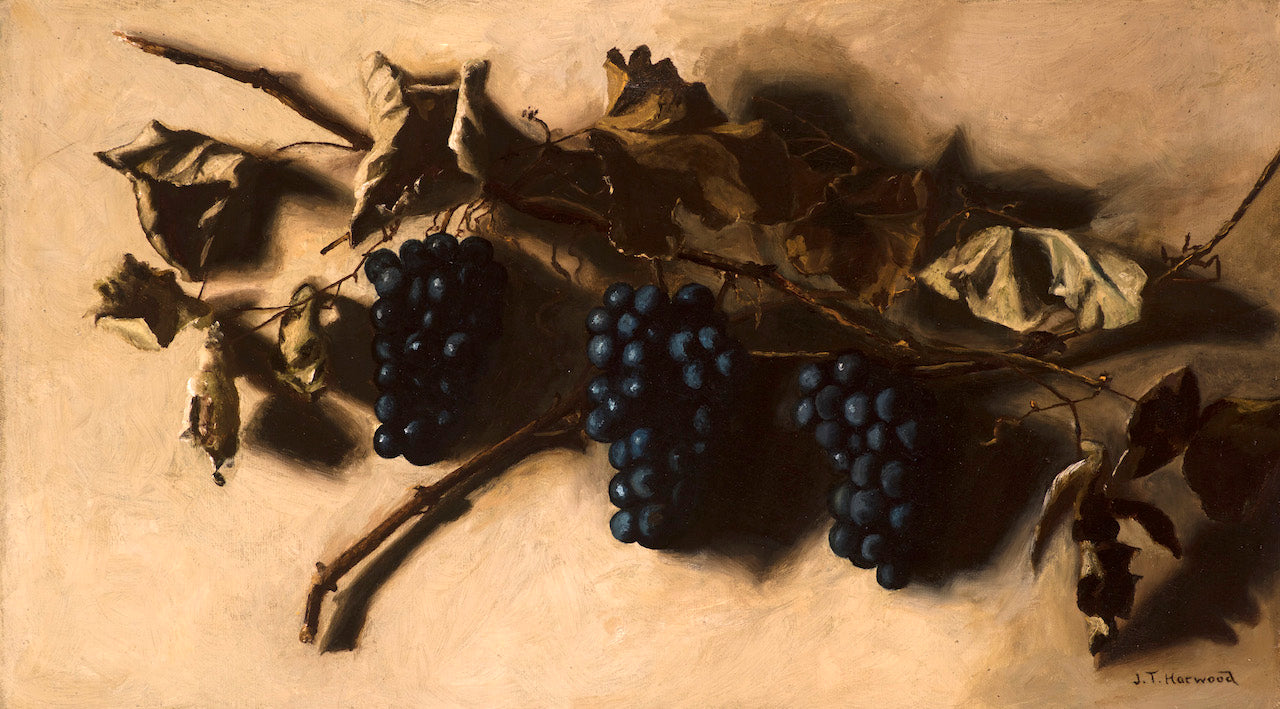 Bunch of Grapes, vintage artwork by James Taylor Harwood, 12x8" (A4) Poster