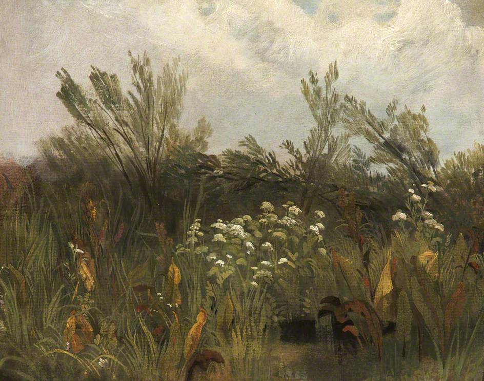 Study of Sorrel, Cow Parsley and Willow Saplings, vintage artwork by Peter de Wint, 12x8" (A4) Poster