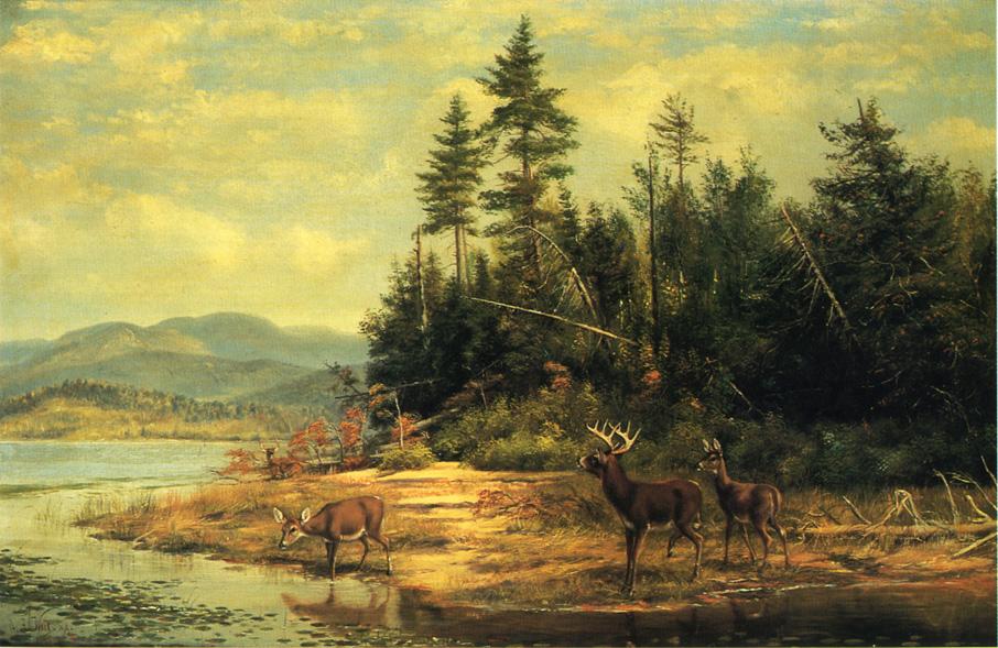 View on Long Lake, vintage artwork by Arthur Fitzwilliam Tait, A3 (16x12") Poster Print