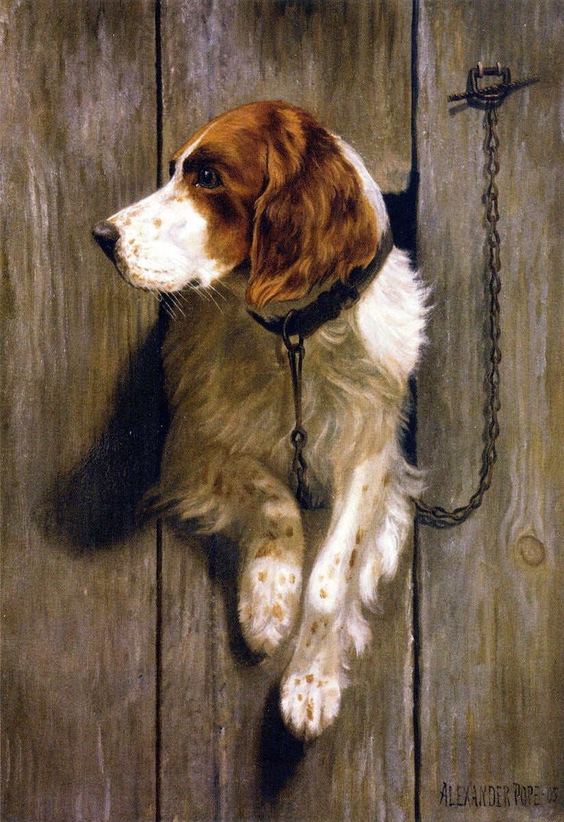 At the Kennel Door, vintage artwork by Alexander Pope, 12x8" (A4) Poster