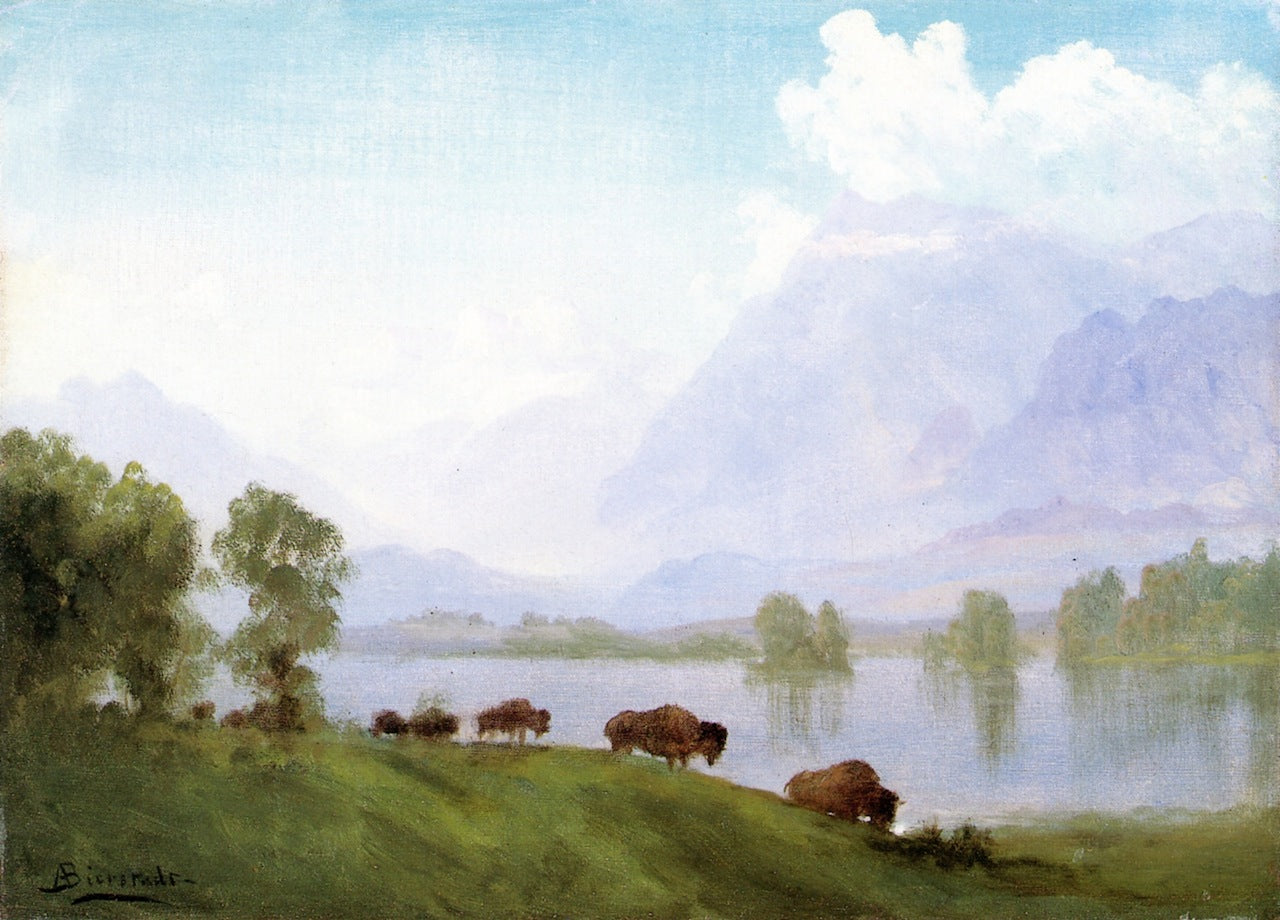 Buffalo Country, vintage artwork by Albert Bierstadt, 12x8" (A4) Poster