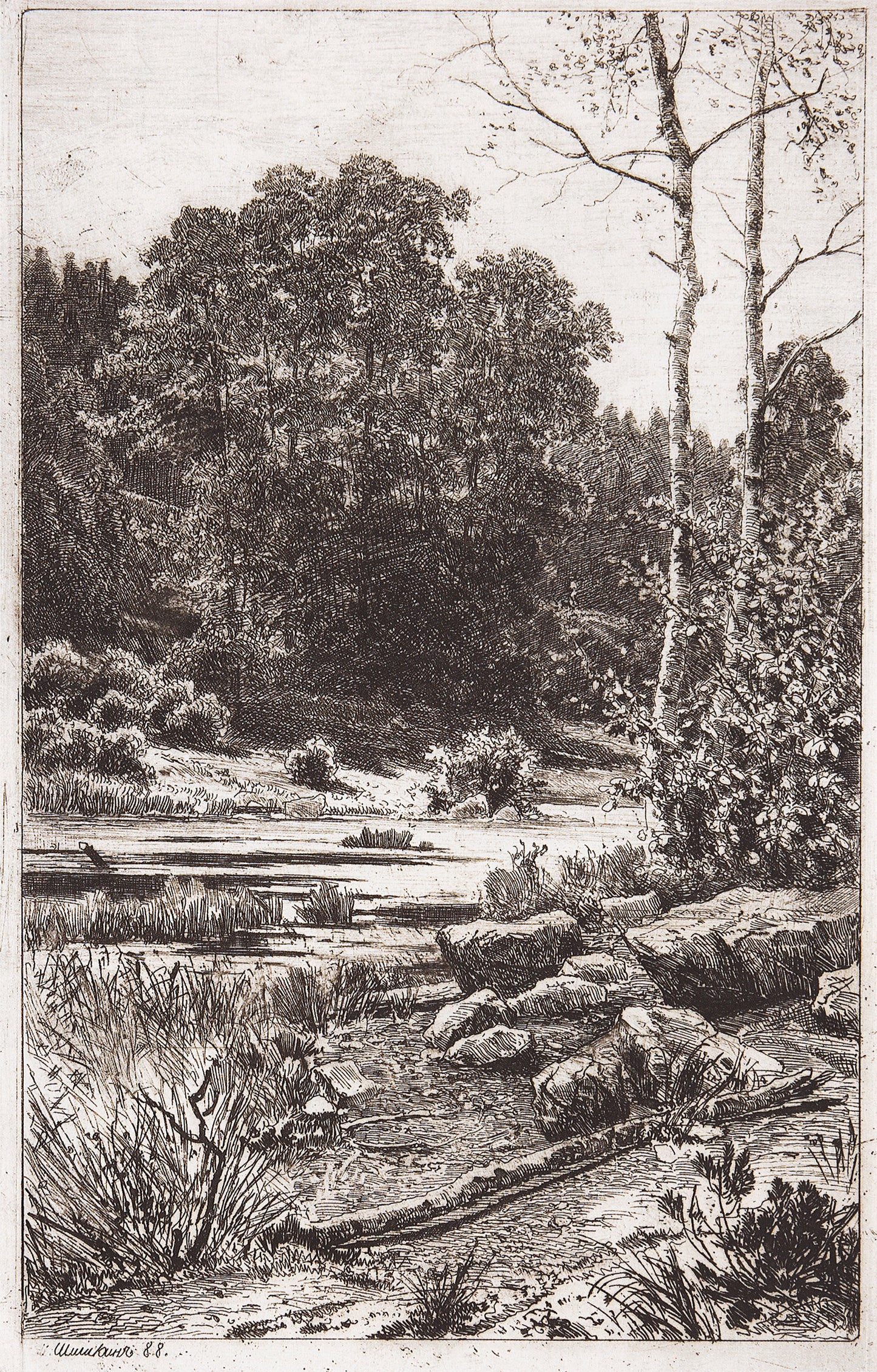 Dry Birch Trees, vintage artwork by Ivan Ivanovich Shishkin, 12x8" (A4) Poster