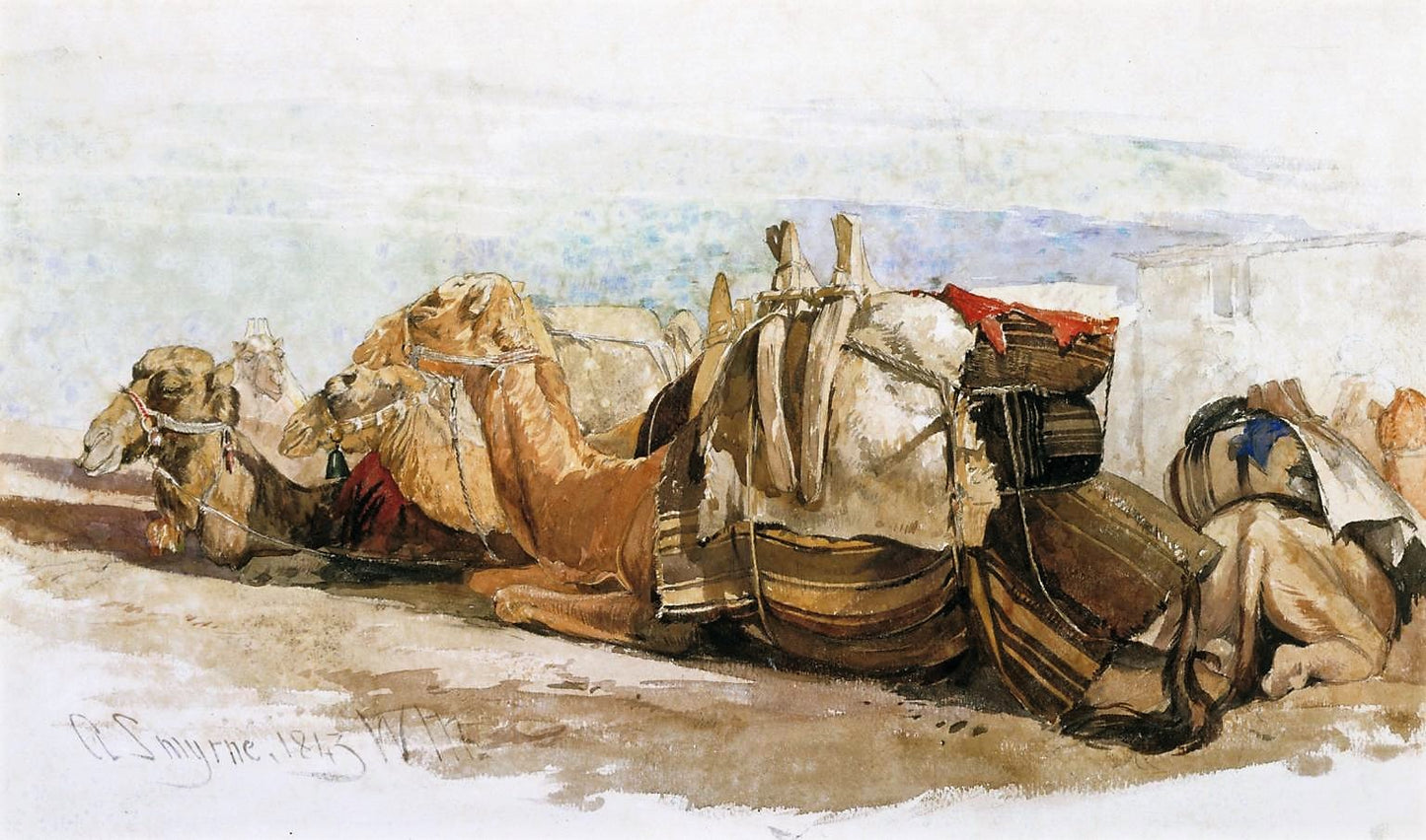 Camels, a Study in Smyrna, vintage artwork by William James Müller, A3 (16x12") Poster Print