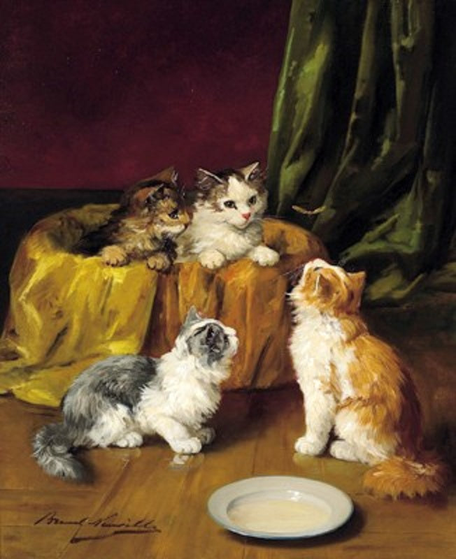 playful kittens and a dragonfly, vintage artwork by Alfred Brunel de Neuville, 12x8" (A4) Poster