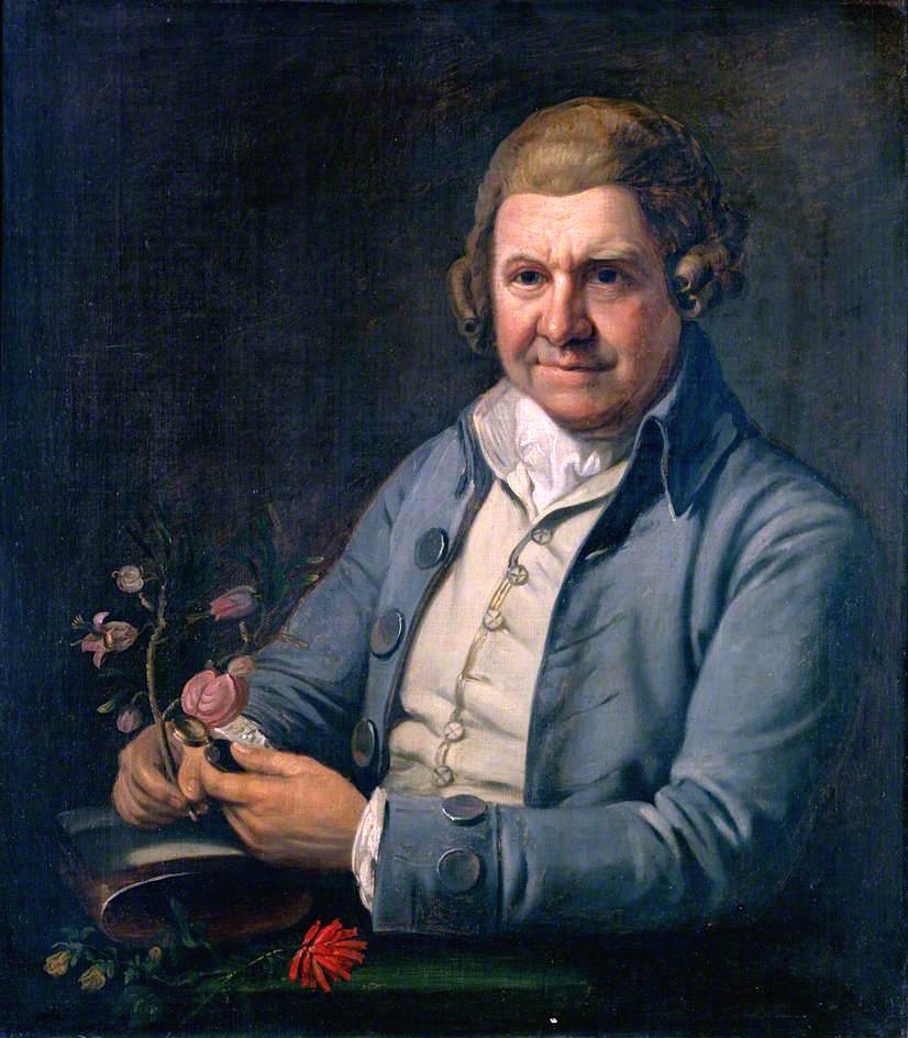 William Aiton, Holding a Plant (species of Aitonia) in His Right Hand and a Hand Lens in, vintage artwork by Attributed to Edmund Bristow, 12x8" (A4) Poster