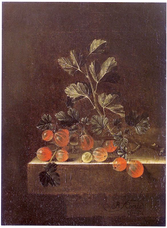 Still life with a spray of gooseberries, vintage artwork by Adriaen Coorte, 12x8" (A4) Poster