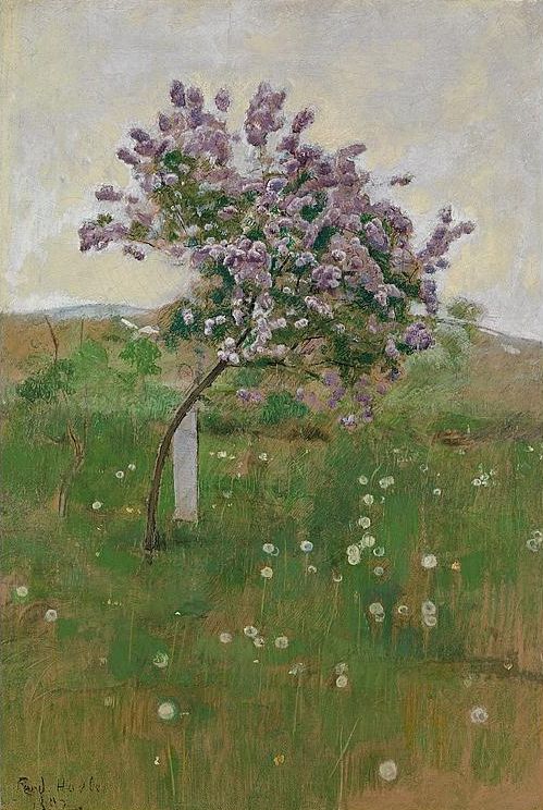 Lilac Tree, vintage artwork by Ferdinand Hodler, 12x8" (A4) Poster