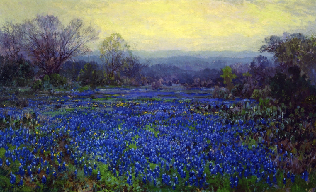 Field of Bluebonnets by Julian Onderdonk,16x12(A3) Poster