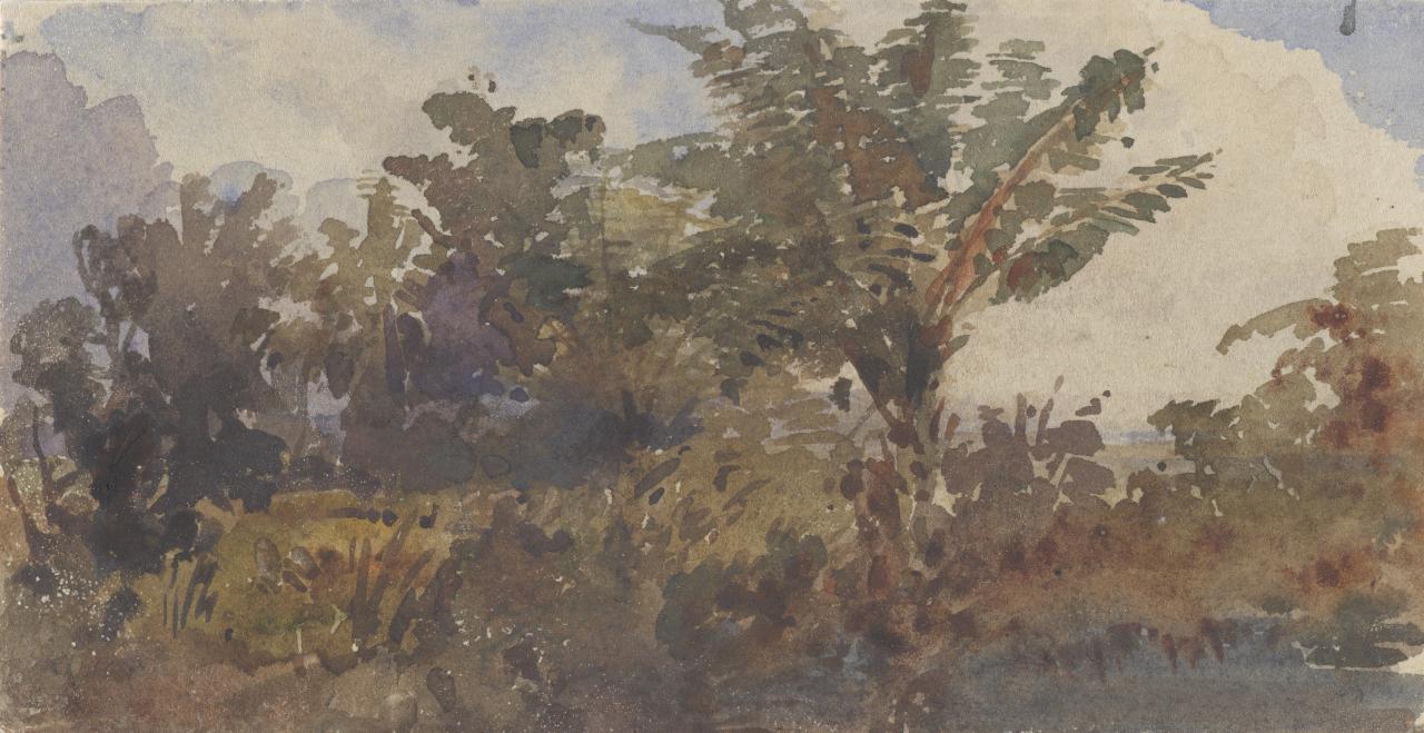 Landscape with Palm, vintage artwork by Louis Buvelot, A3 (16x12") Poster Print