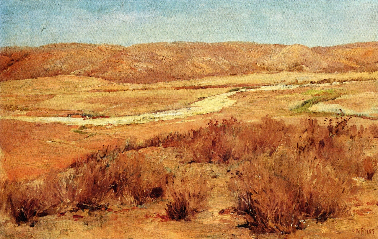 Looking Down Mission Valley in Summer by Charles A. Fries,A3(16x12")Poster