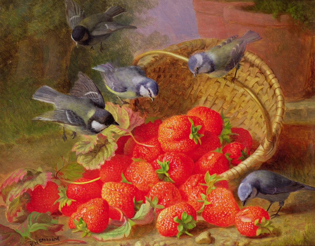 Still Life, Strawberries and Bluetits, vintage artwork by Eloise Harriet Stannard, 12x8" (A4) Poster