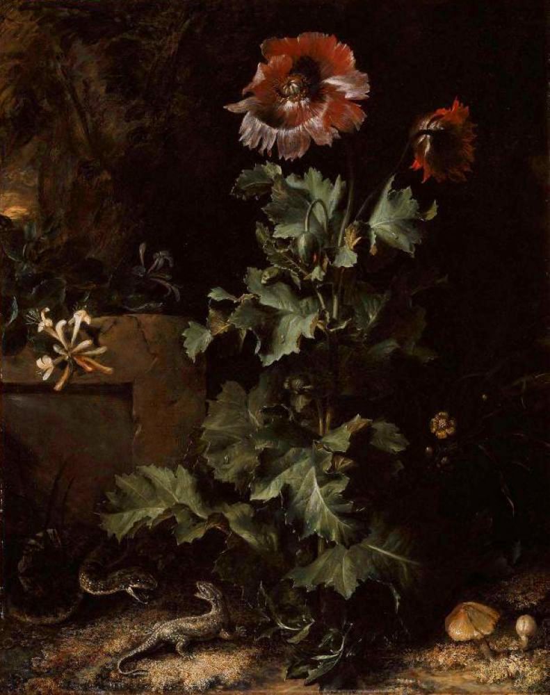 Still Life with Snake and Lizard, vintage artwork by Otto van Schrieck, 12x8" (A4) Poster