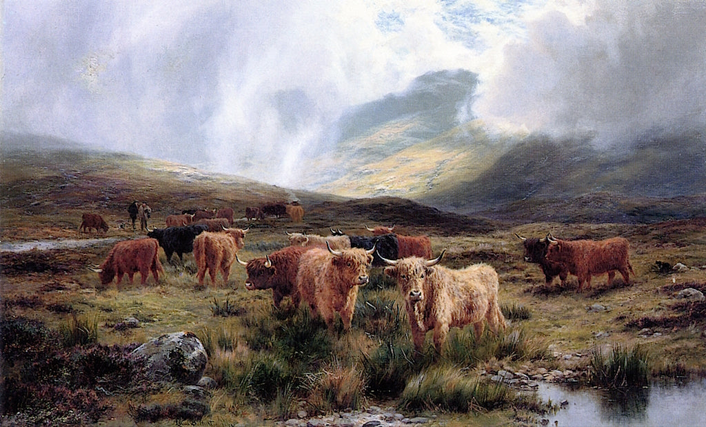 Highland Cattle Grazing by Louis Bosworth Hurt,A3(16x12")Poster