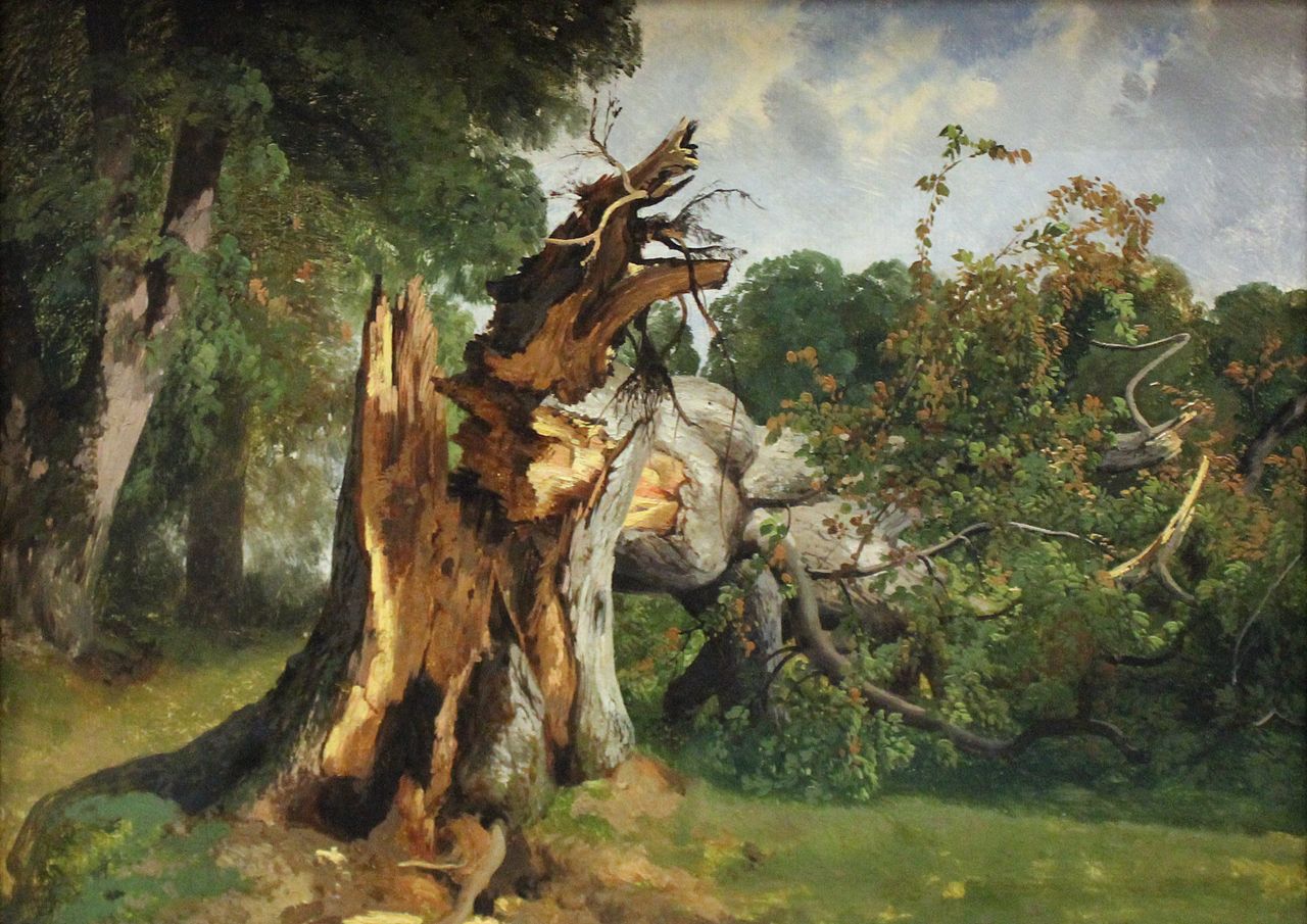 Arbre brise, au Kerket, près de Meyringen (Oberland bernois), vintage artwork by Alexandre Calame, A3 (16x12") Poster Print